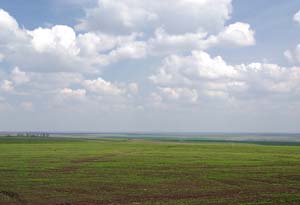 Доно-Донецкая равнина. Вид с дороги Тацинская-Зазерский