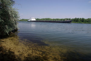 С берега Дона в станице Романовской (находится в Ростовской области, в нескольких километрах от Волгодонска) видны проходящие по реке суда. Это речной сухогруз класса «Волго-Дон»