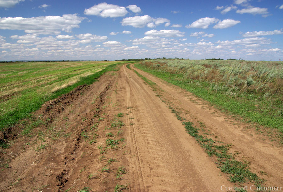 Дорога между полями на восточной стороне Мокро-Соленовской или Третьей балки