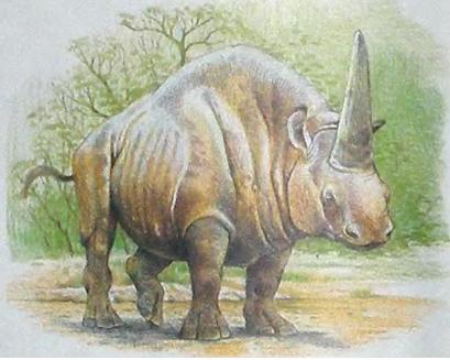 Носорог-эласмотерий