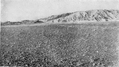 Гаммада — каменистая пустыня. Подгорная равнина в Кызыл-Кумах