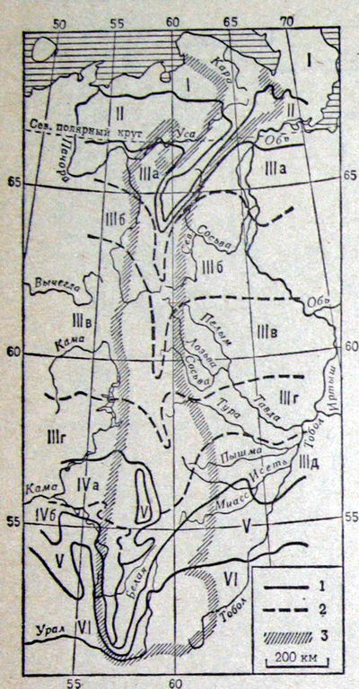 Основные зональные подразделения растительного покрова на прилегающих к Уралу равнинах и их горные аналоги