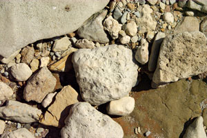 Каменная мелочь россыпью на берегу. Известняк по центру, песчаник слева вверху, глина справа внизу