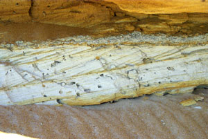 Косослоистые пески прибрежной зоны Сарматского моря