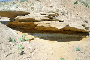 Песчаники, образованные из Сарматских песков