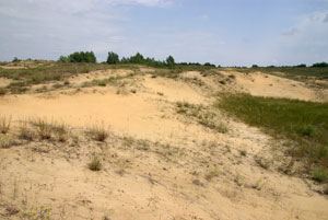 Кундрюченские пески