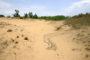 Кундрюченские пески