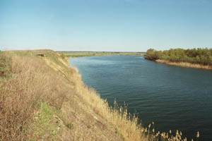 Река Сухая