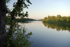 Река Сухая