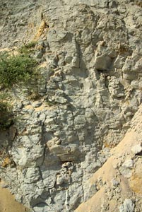 Палеогеновые глины. Цимлянское водохранилище.