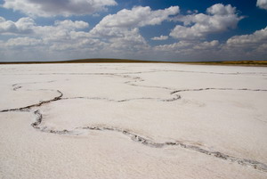 На фото - поверхность солевого озера вблизи. Высохшая соль образует своеобразный по-своему красивый узор.