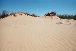 Цимлянские пески. Бугры с волнами песчаной ряби