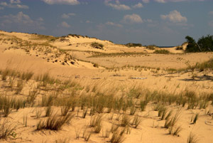 Кумылженские пески. Песчаный массив Кумылга.